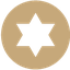 coin icon