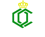 coin icon