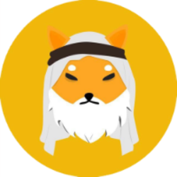 coin logo