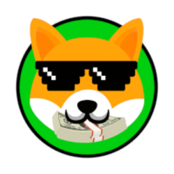 coin icon