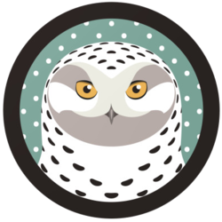 coin icon