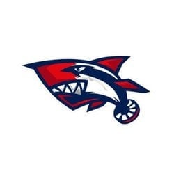 coin icon