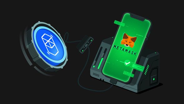 How to Add Fantom Network to MetaMask Wallet
