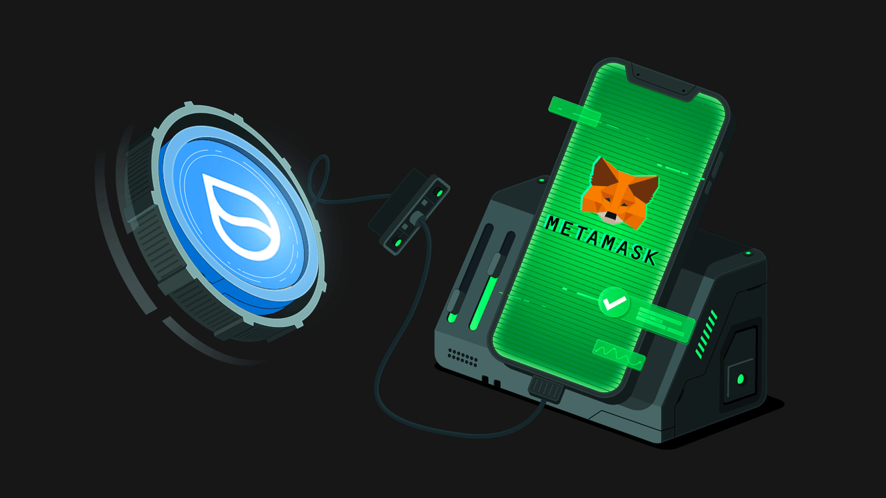 Top Sui Memecoins to Watch in 2025