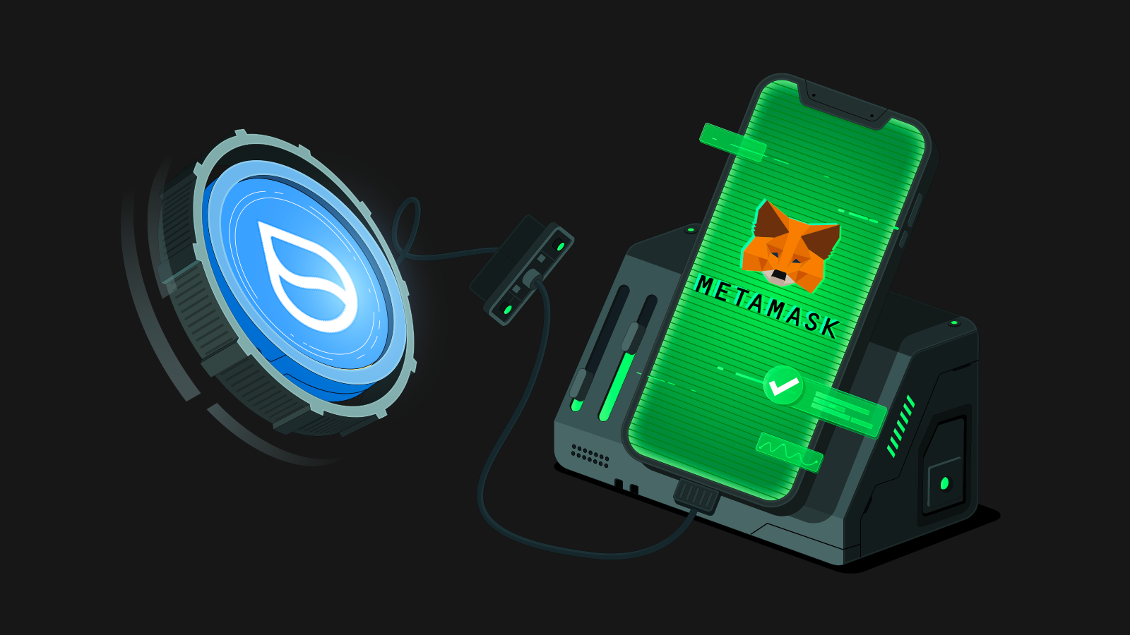 Hoe voeg je het Sui-netwerk toe aan je MetaMask Wallet